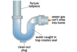 Water Seal in P -Trap